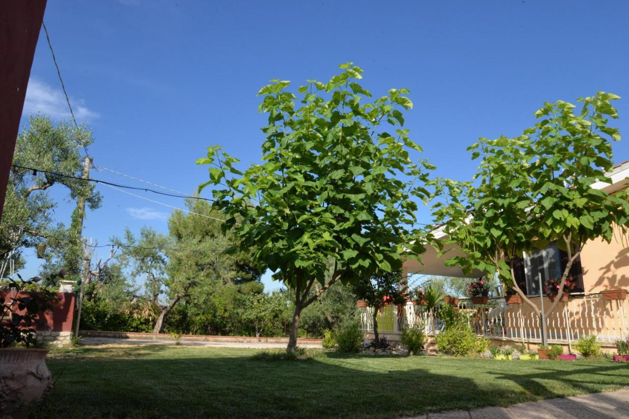 קוראטו B&B Lara Santola מראה חיצוני תמונה